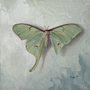 Resilient Wings, Nicole Parish
