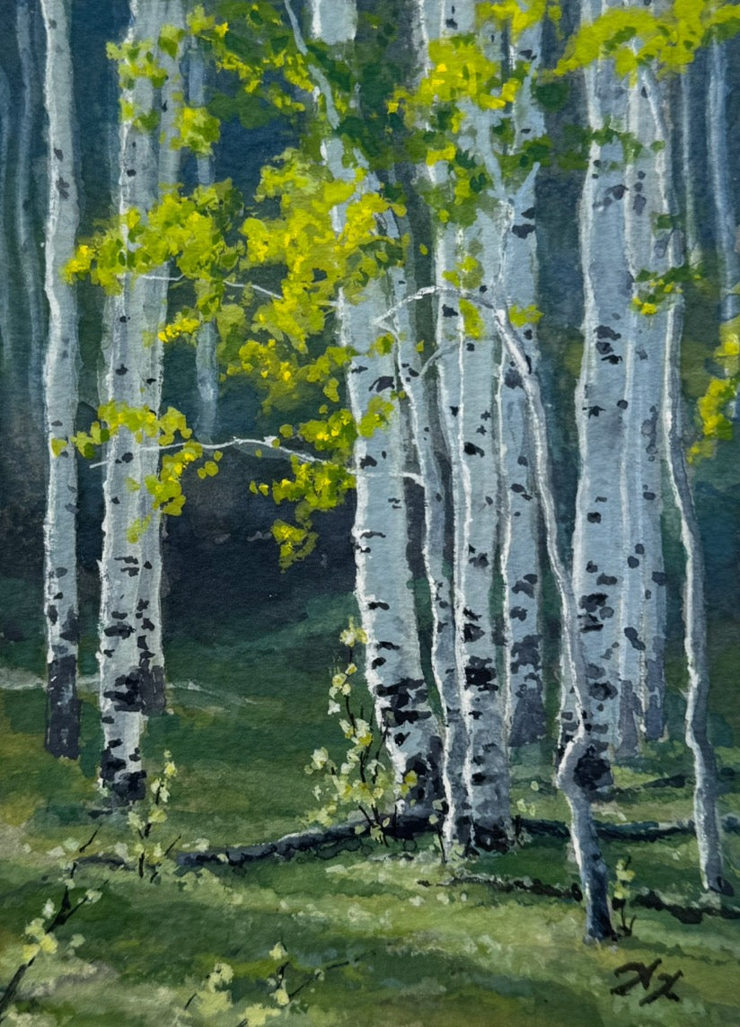 Noah Kellmer, Spring Aspens