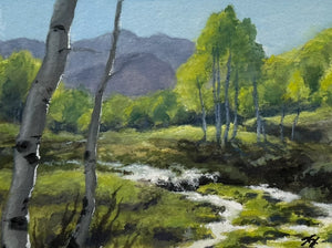 Noah Kellmer, Spring Runoff