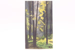 Load image into Gallery viewer, Artwork by Noah Kellmer
