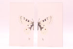 Load image into Gallery viewer, Artwork by Rose Torres
