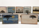 Load image into Gallery viewer, Artwork by Shari Lyon
