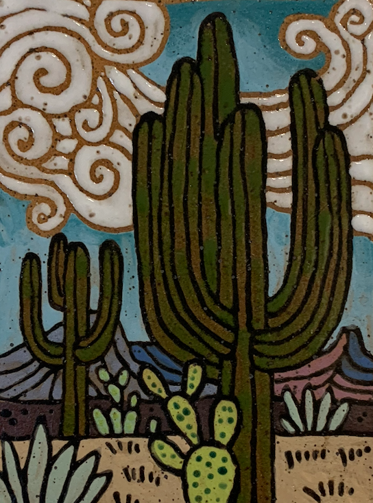 Sadie Joy Muhlestein, Saguaro National Park