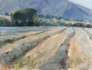 Sarah Anne Wilson, Windrows