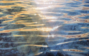 AquaGenesis, Shelly Coleman