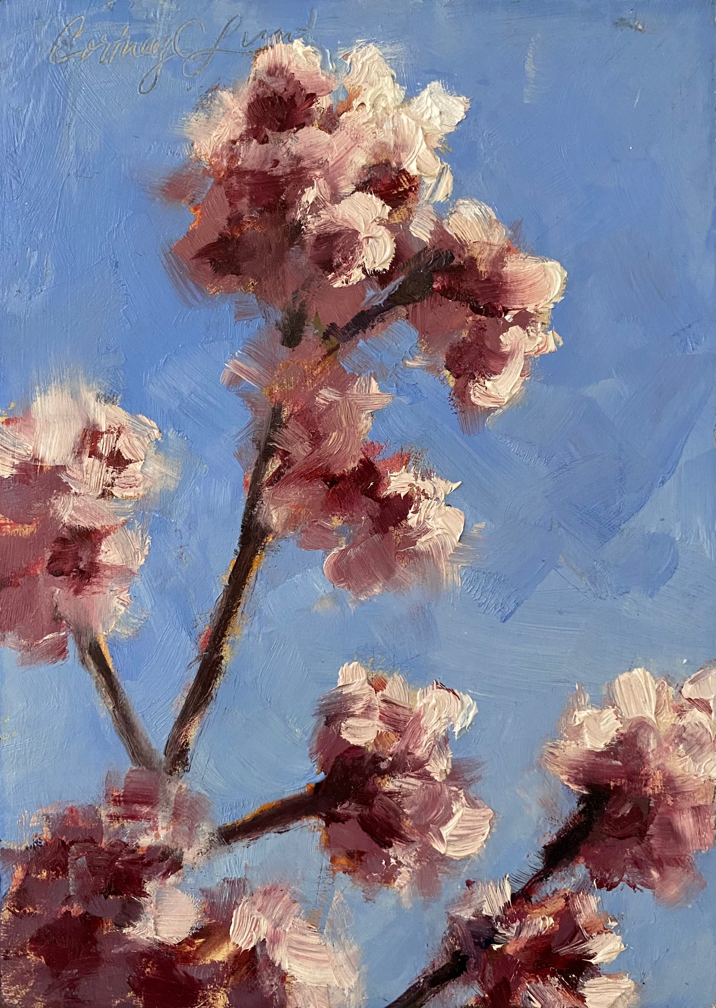 Spring Blossoms, Cortney Lunt