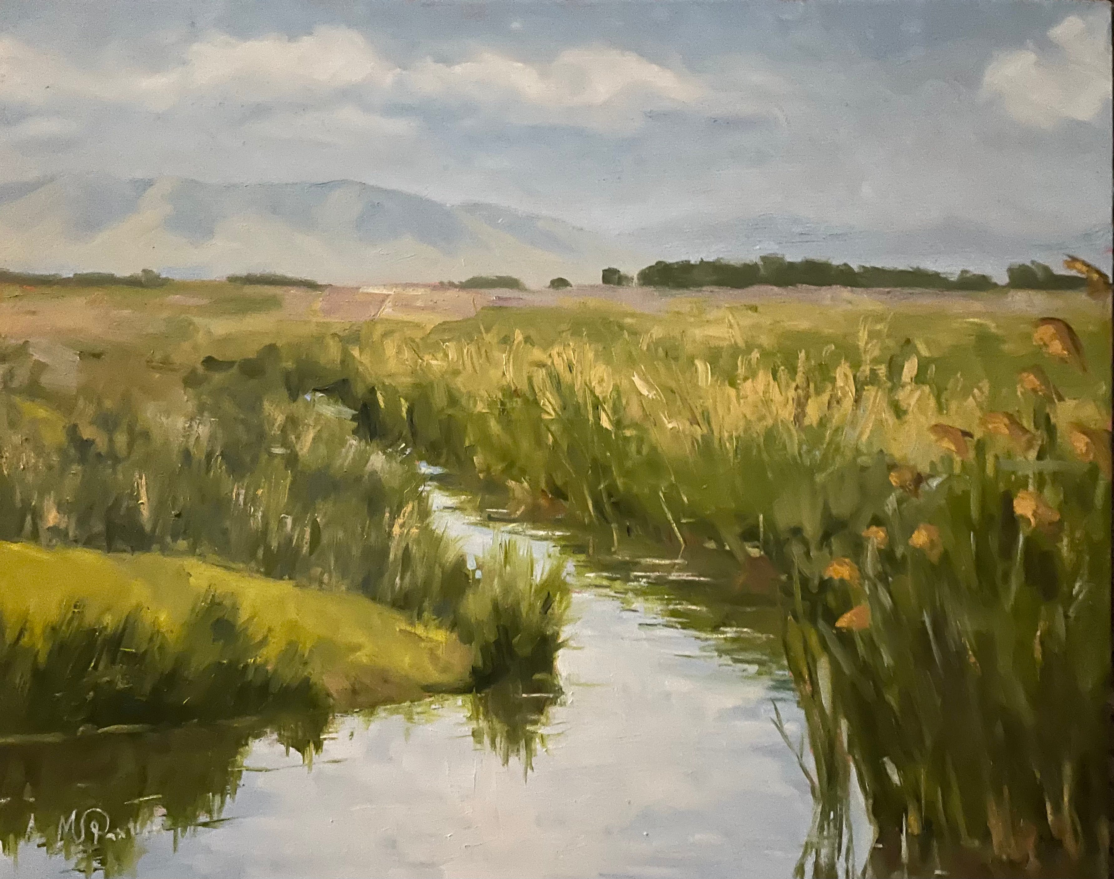 Spring in Springville Wetlands, McKenzie S. Paxton