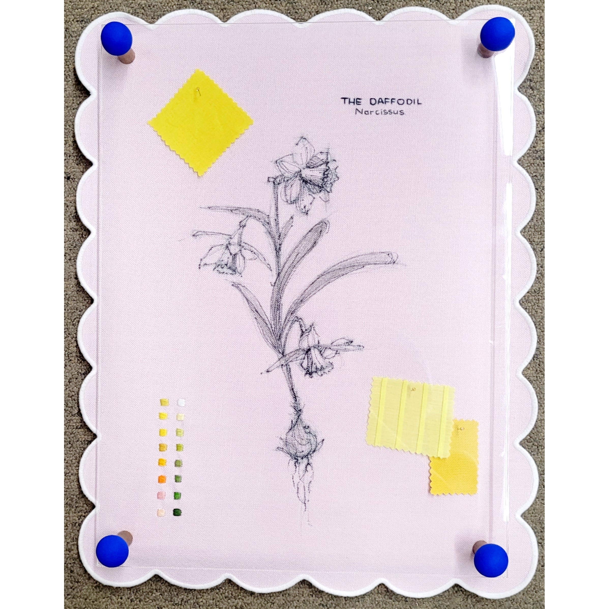 My creative wandering told by the daffodil #1, Stephanie Kelly Clark