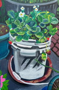 Strawberry Plant in Old Bucket, Amanda Yim