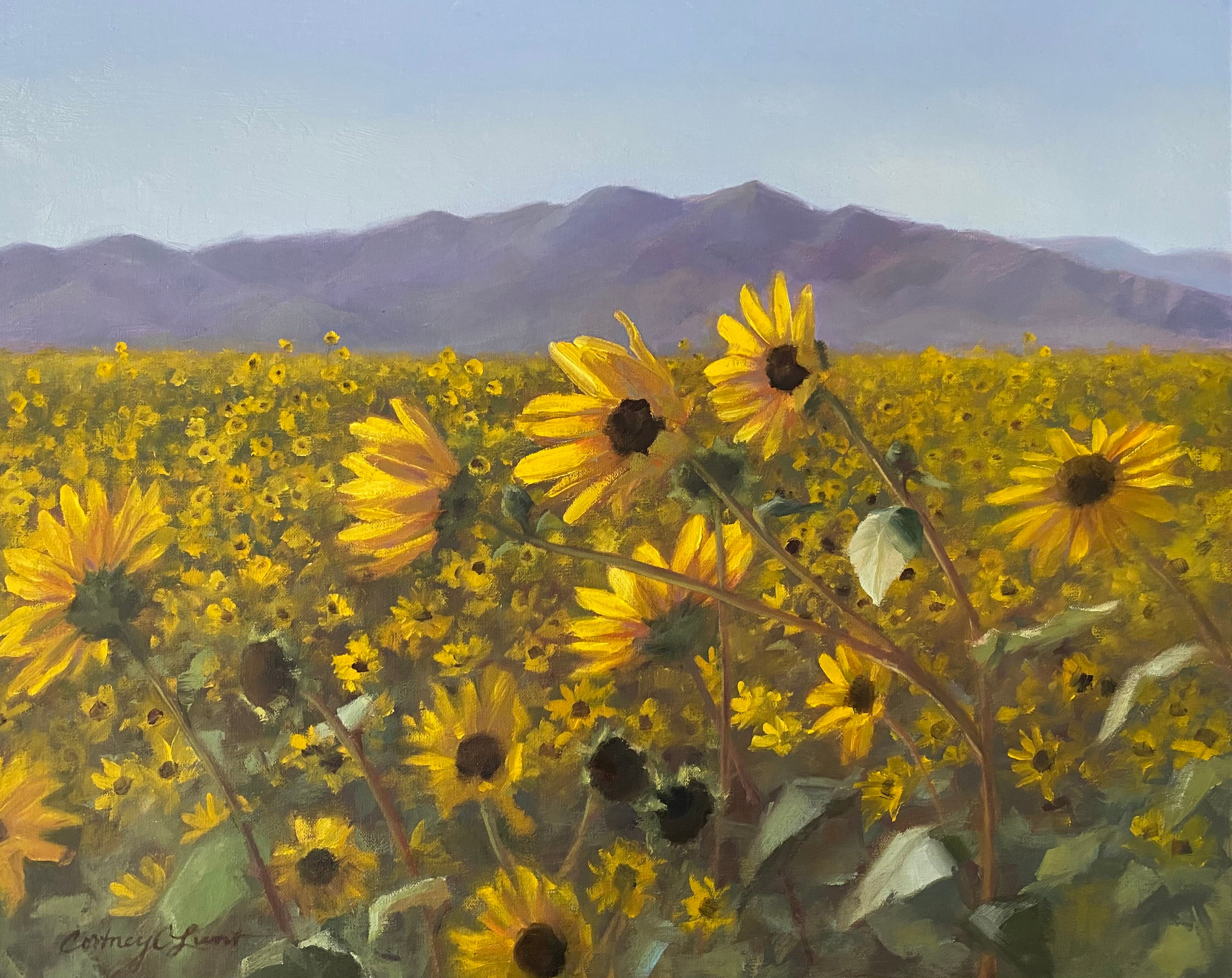 Sunflower Joy by Cortney Lunt