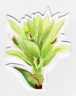 Load image into Gallery viewer, Artwork by Tiffany Zen
