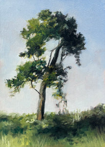 Whitney Guymon, Onlooker