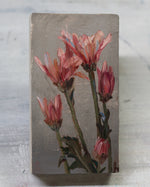 Load image into Gallery viewer, Artwork by Haily South
