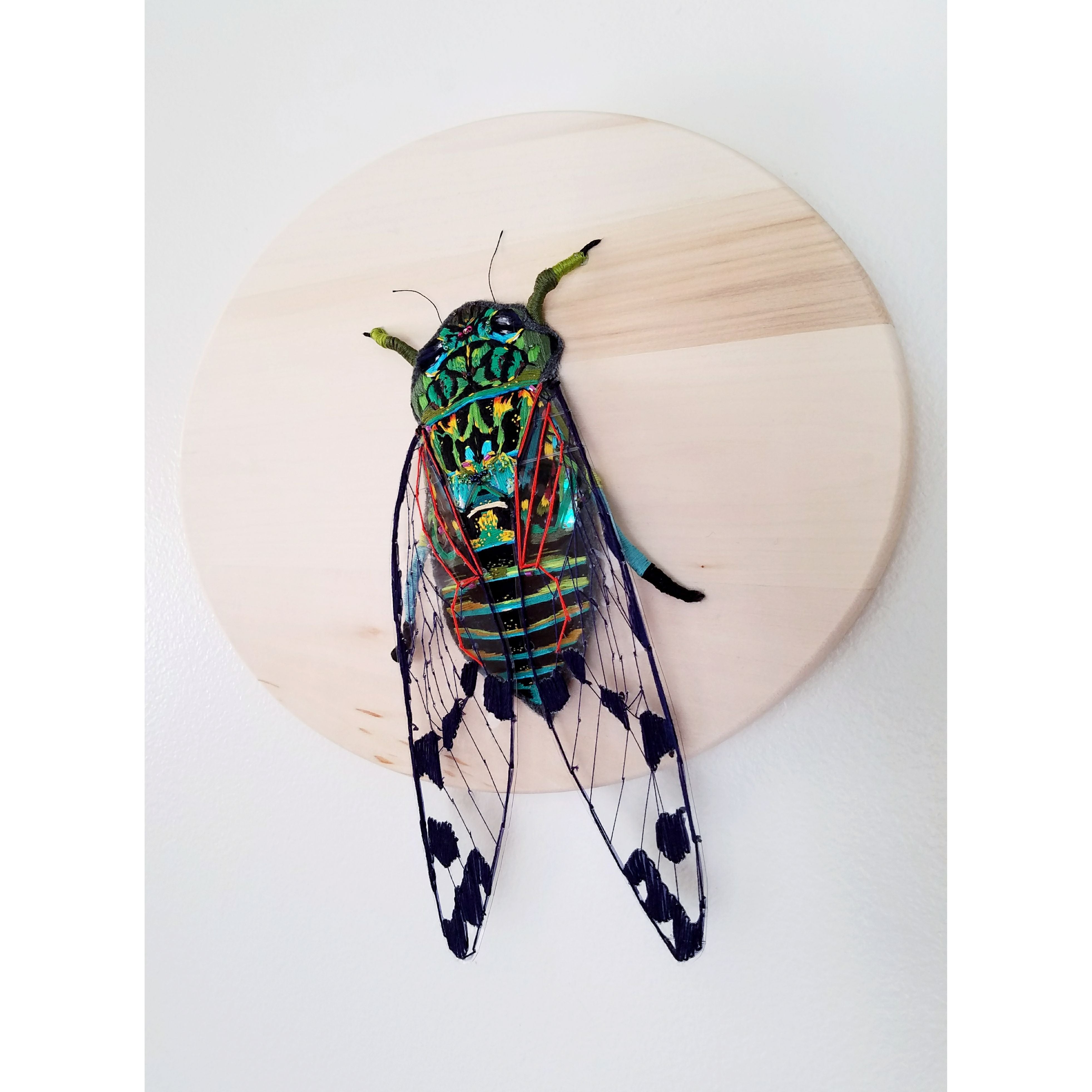 The Nostalgic Melody of the Cicada by Stephanie K. Clark