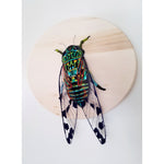 Load image into Gallery viewer, The Nostalgic Melody of the Cicada by Stephanie K. Clark
