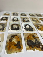 Load image into Gallery viewer, Large Potato Stamps - $50
