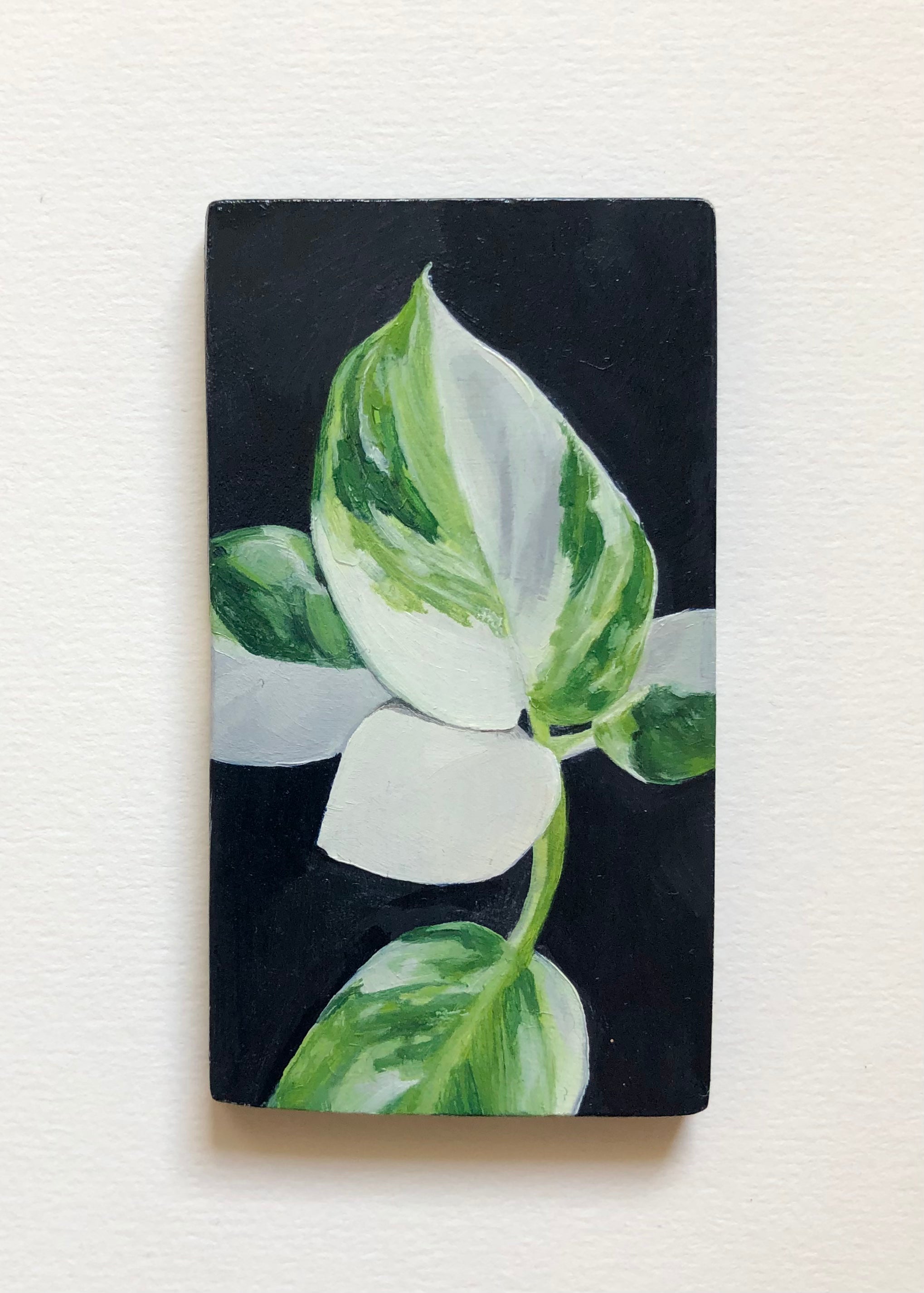 Artwork by Sarah Schwieger