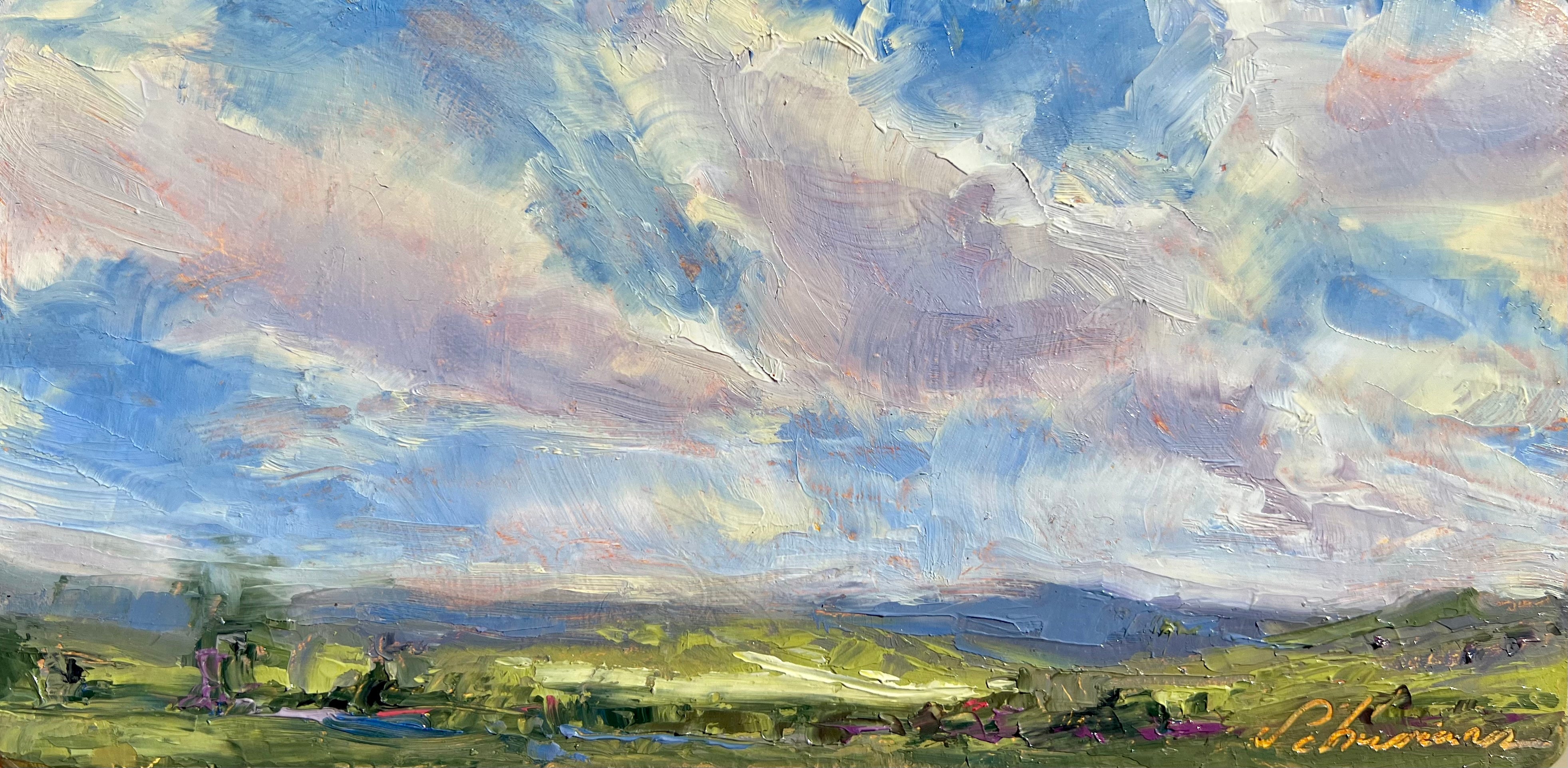 Open Skies by Tausha Schumann