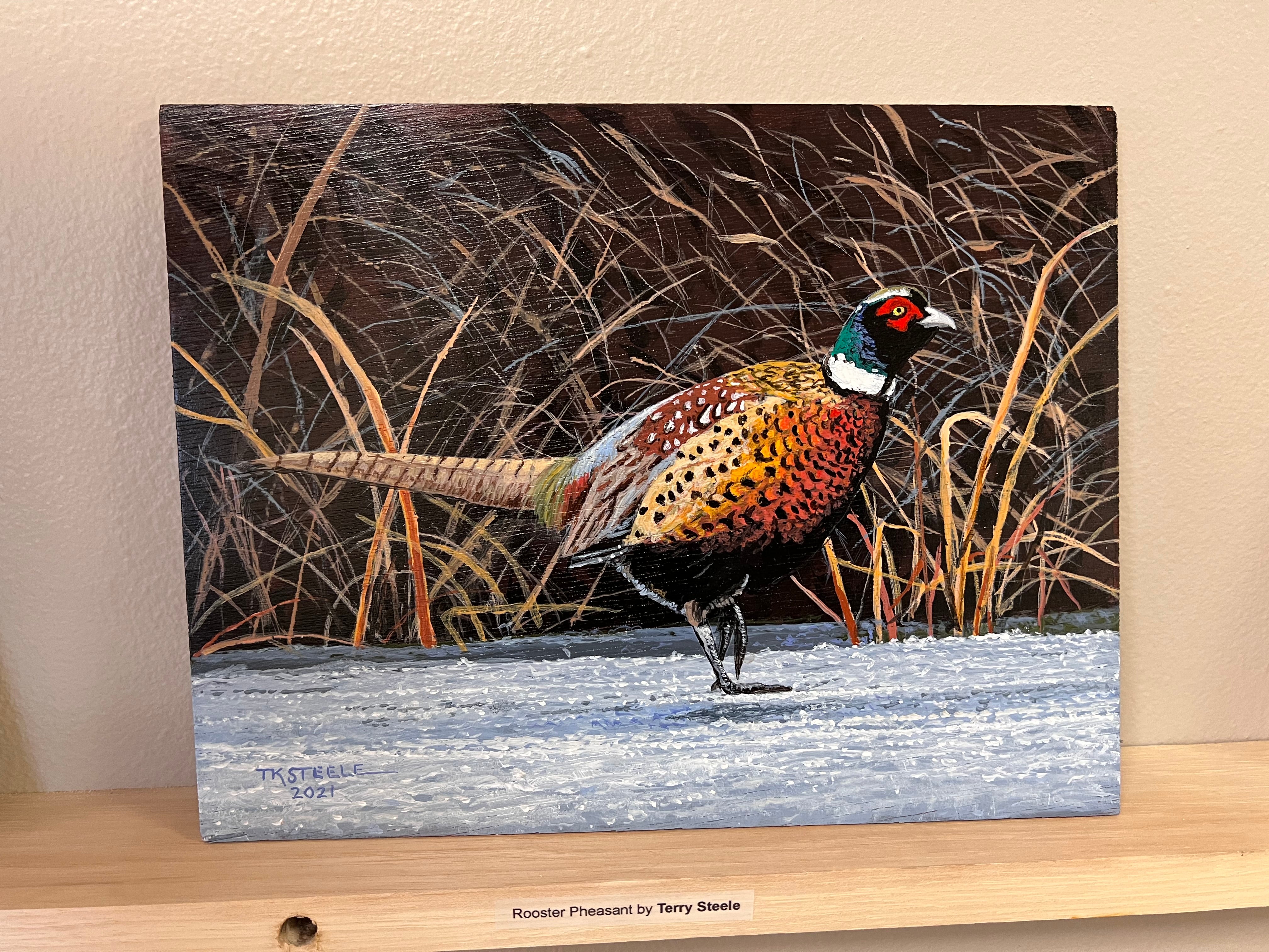 Rooster Pheasant by Terry Steele