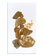 Load image into Gallery viewer, Artwork by Amy Hunter
