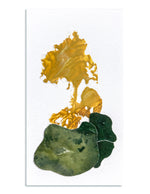 Load image into Gallery viewer, Artwork by Amy Hunter
