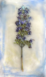 Load image into Gallery viewer, Artwork by Cali Schaugaard
