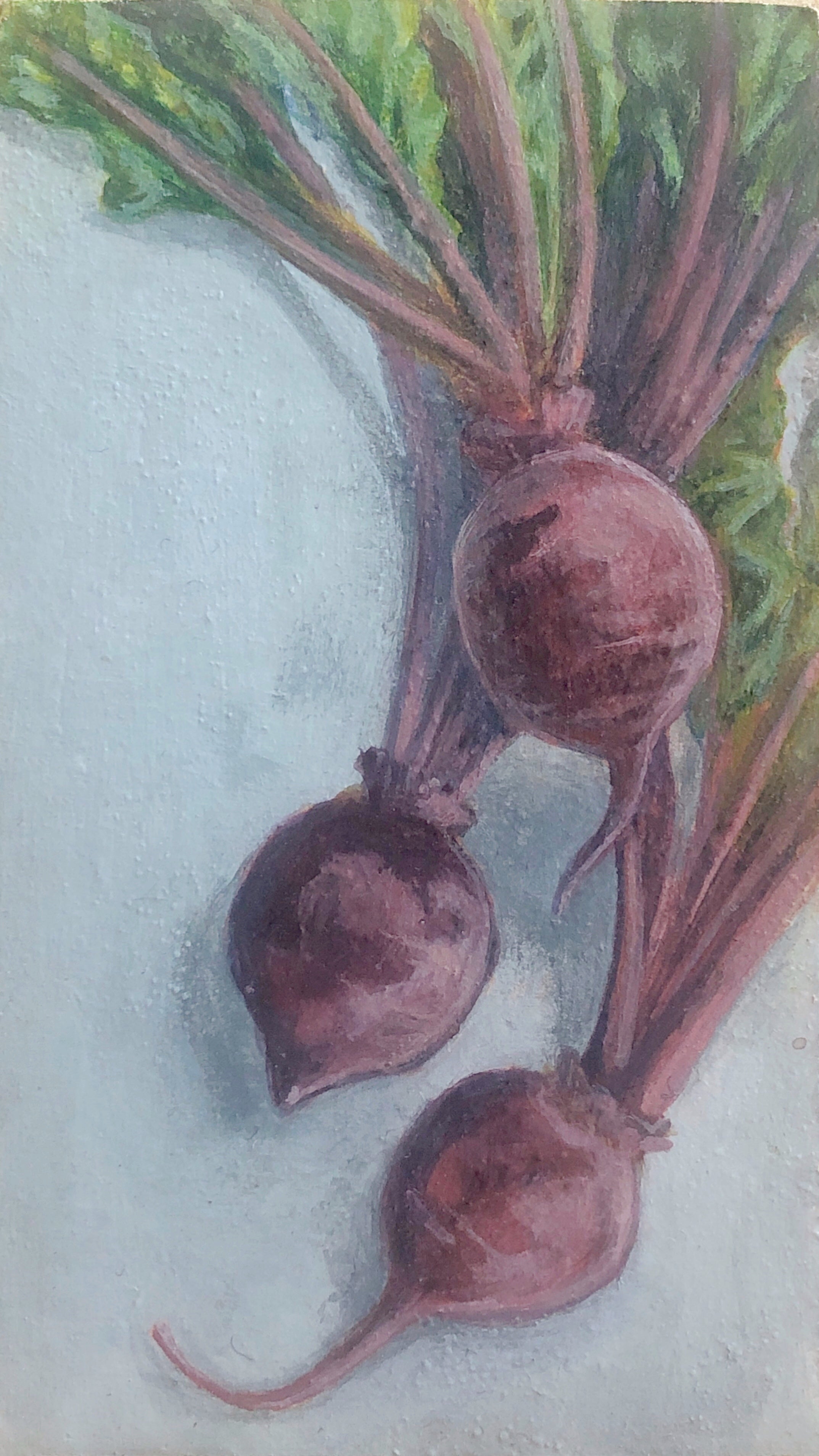 Artwork by Amy Pack Stephensen