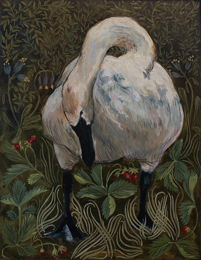 Swan by Brooke Bowen