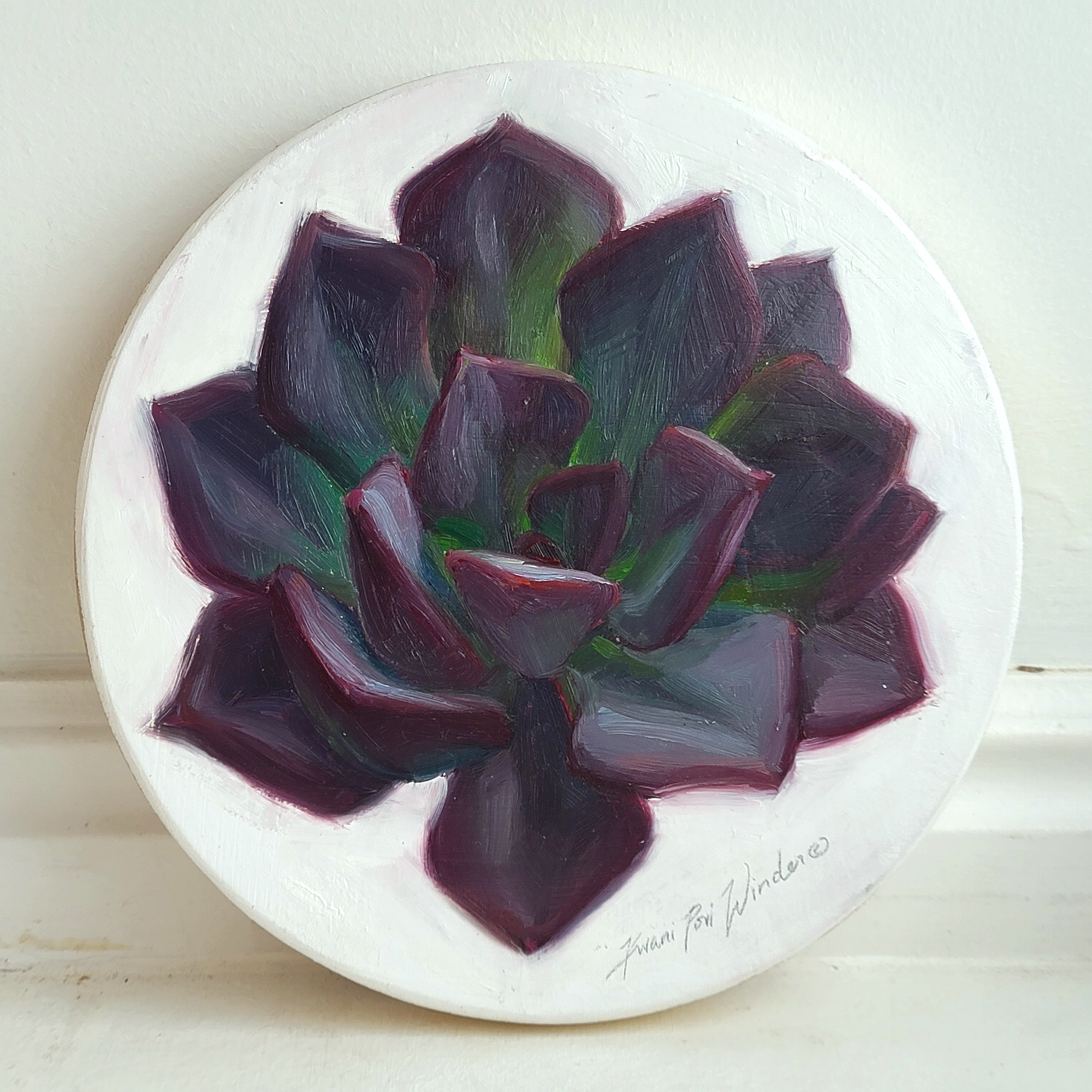 Echeveria Black Prince by Kwani Povi Winder