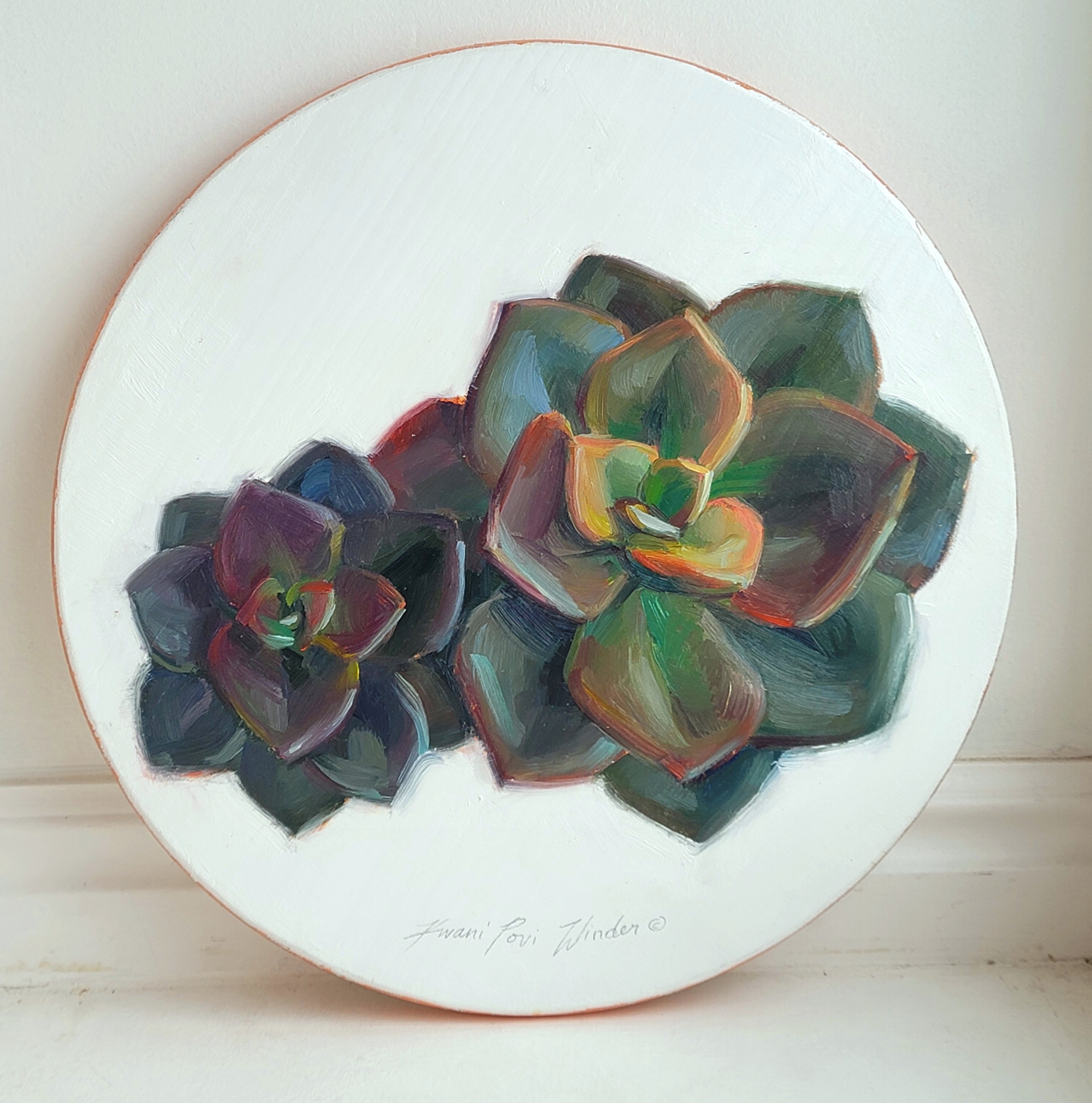 Echeveria Chroma by Kwani Povi Winder