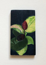 Load image into Gallery viewer, Artwork by Sarah Schwieger
