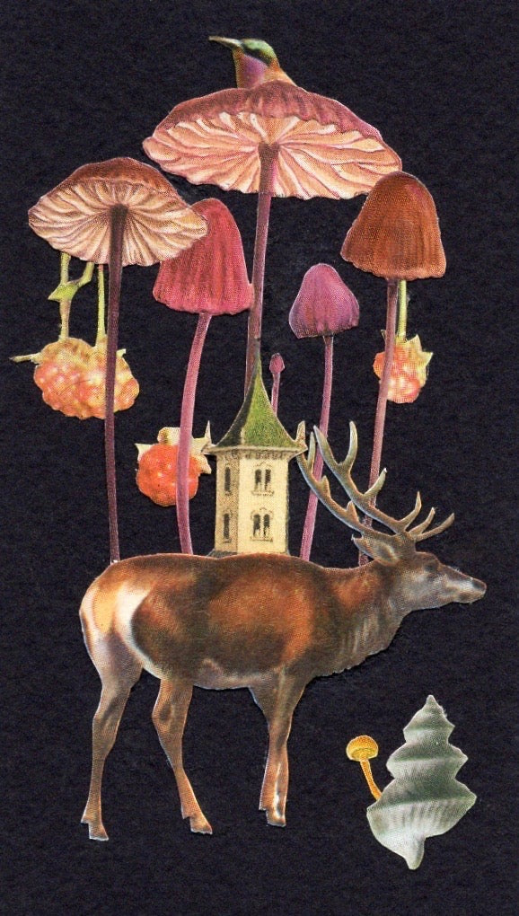 Artwork by Sarah Stoddard