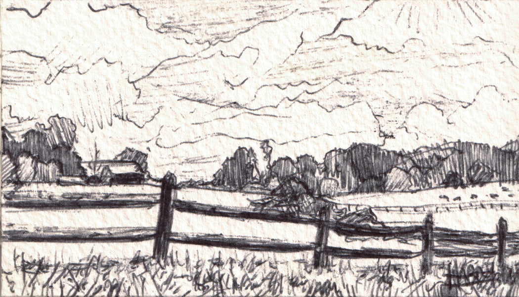 Artwork by Harry Boardman