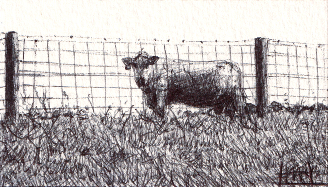 Artwork by Harry Boardman