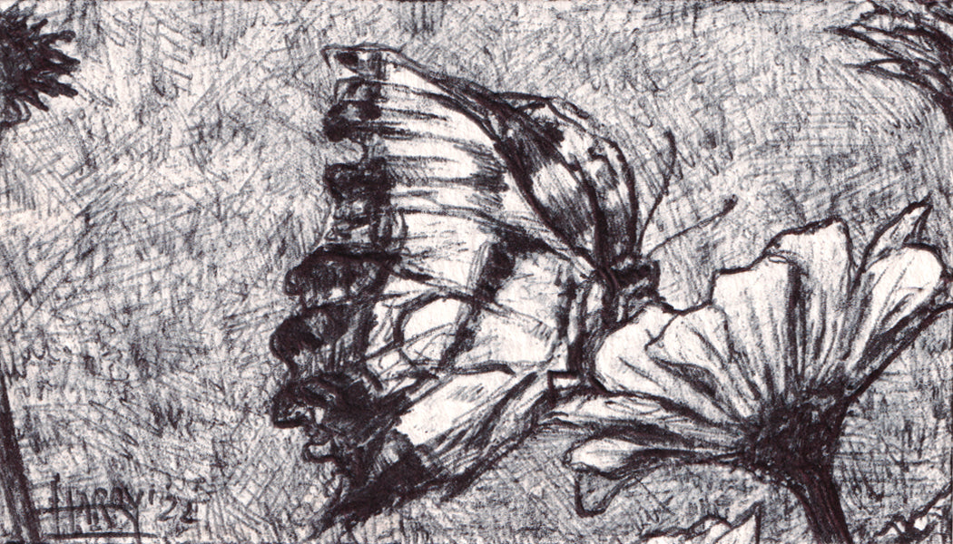 Artwork by Harry Boardman