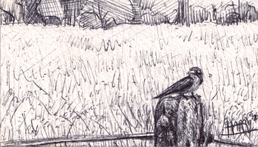 Artwork by Harry Boardman