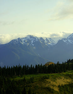 Hurricane Ridge, 2017 by Ashley Grover