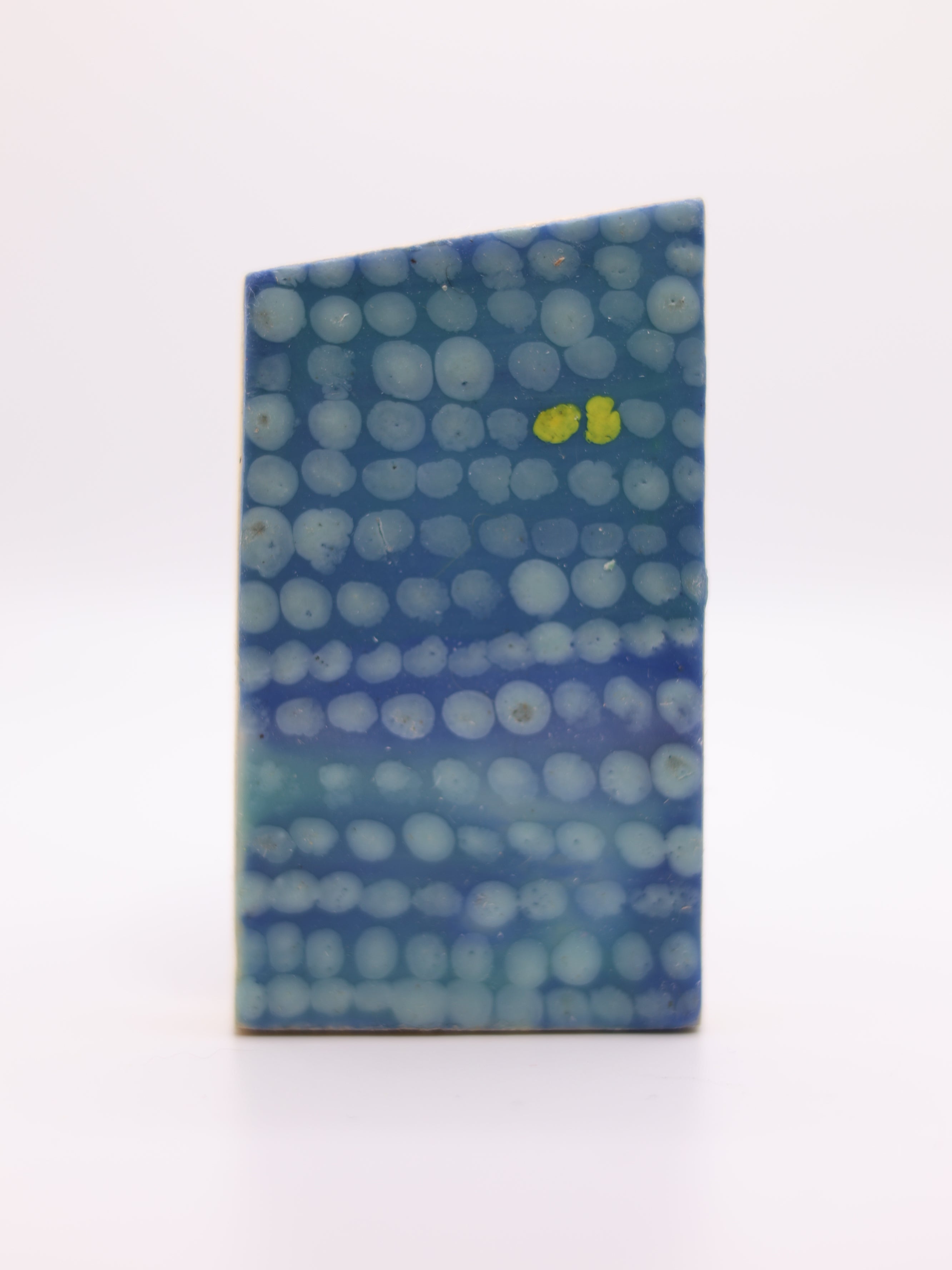 Artwork by Kim Cardoso