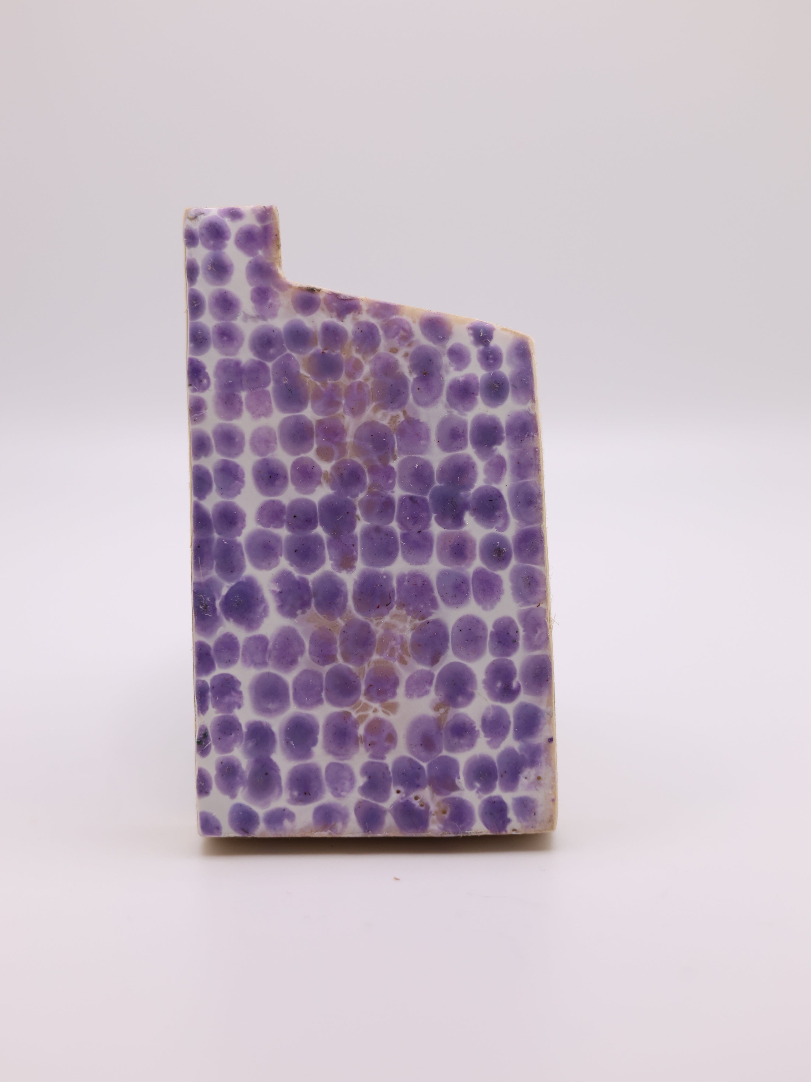 Artwork by Kim Cardoso