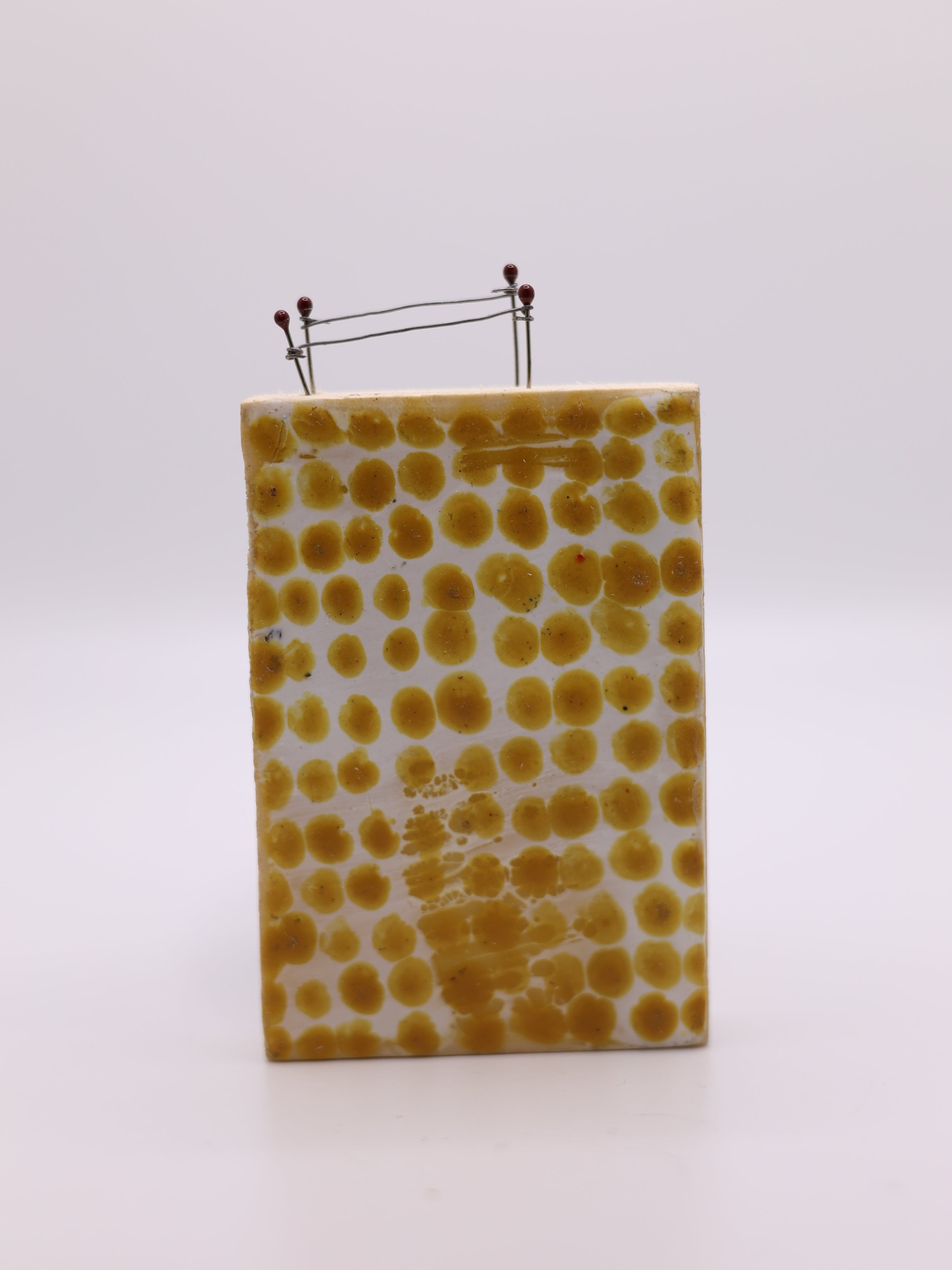 Artwork by Kim Cardoso