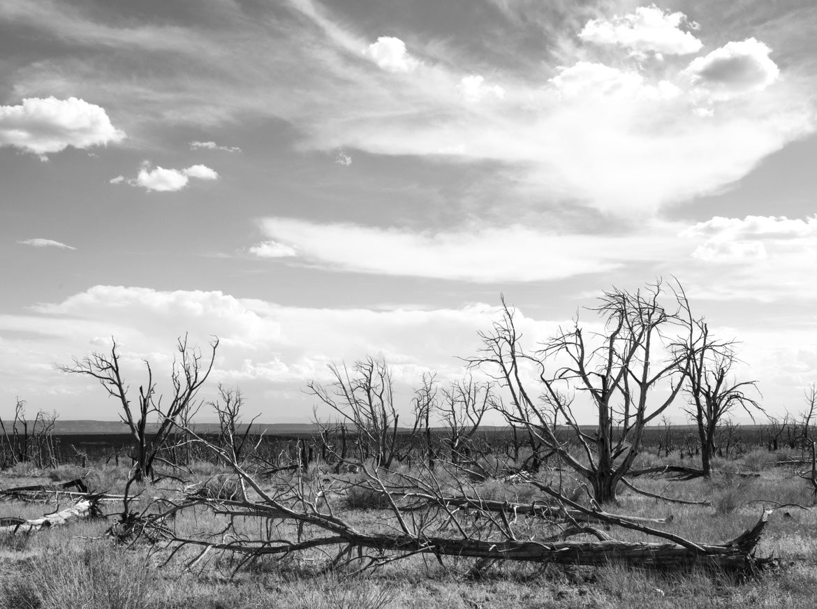 Artwork Matthew Jett Wilson