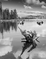 Load image into Gallery viewer, Artwork Matthew Jett Wilson
