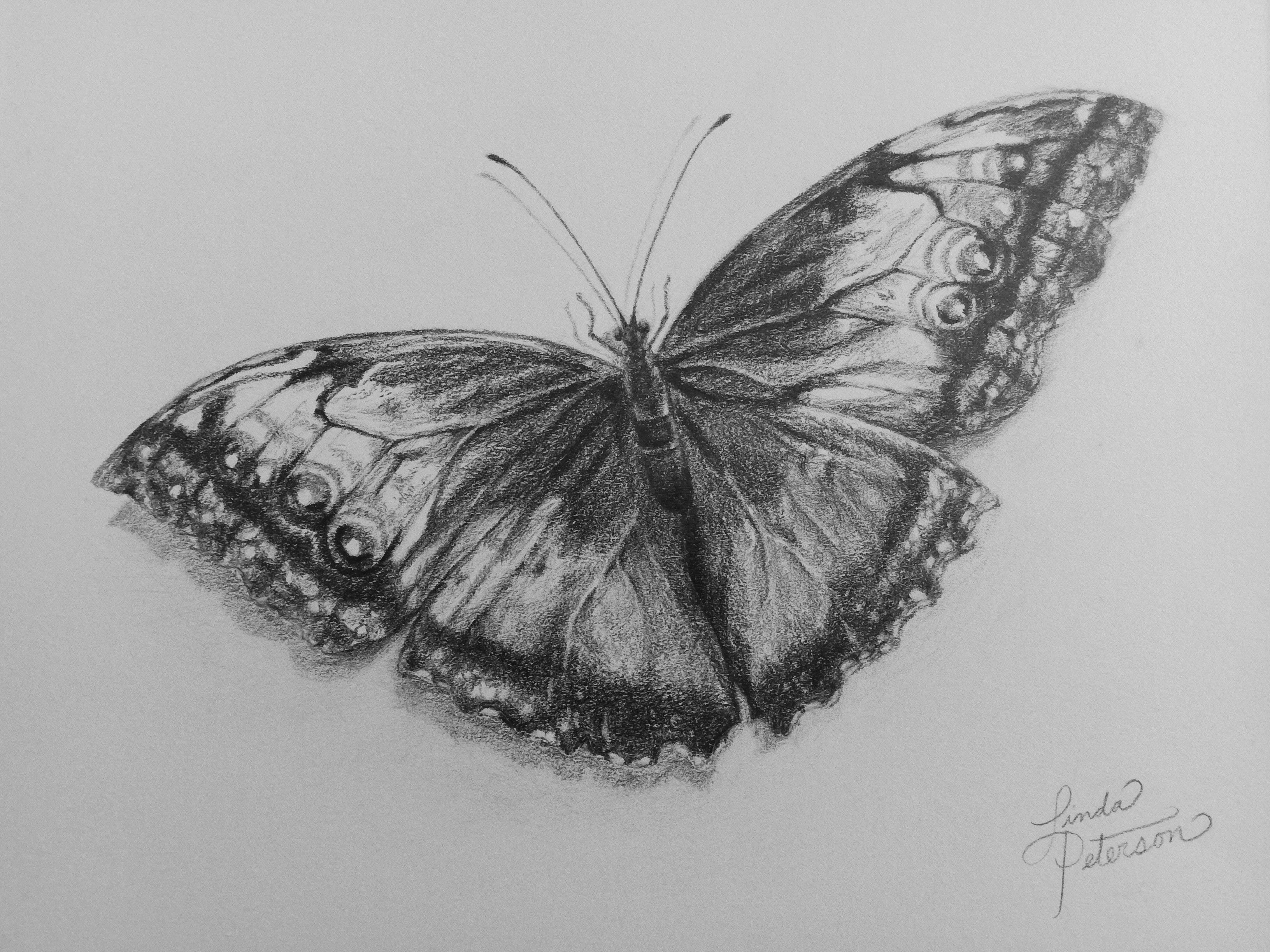 Transormation by Linda Peterson