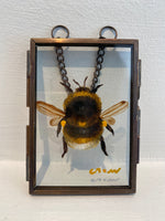 Load image into Gallery viewer, Artwork by Abigail Crow
