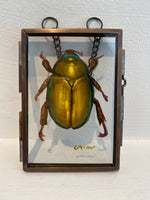 Load image into Gallery viewer, Artwork by Abigail Crow
