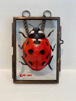 Load image into Gallery viewer, Artwork by Abigail Crow
