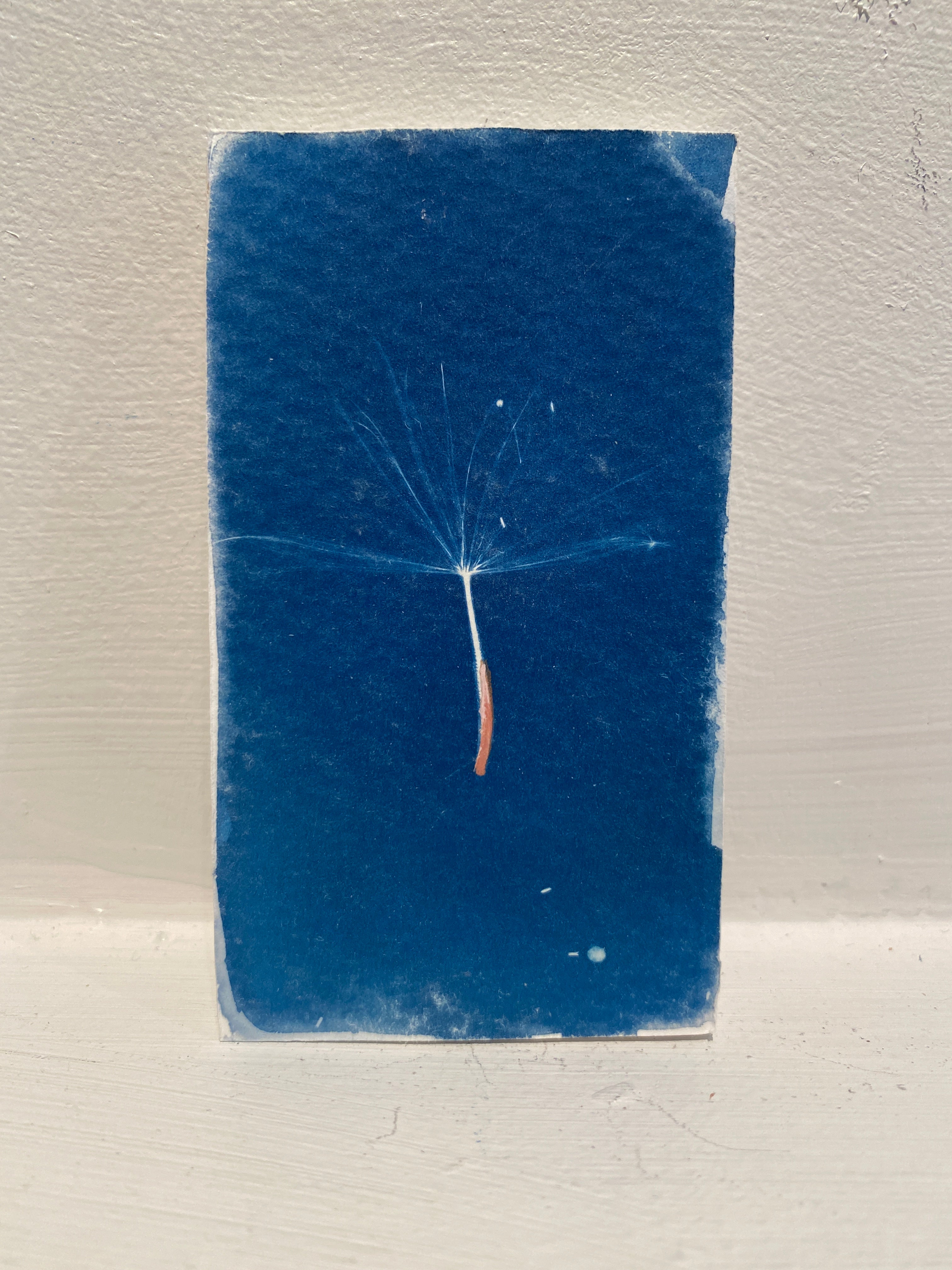 Artwork by Courtney Lehikainen