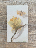 Load image into Gallery viewer, Artwork by Kristin Gibby
