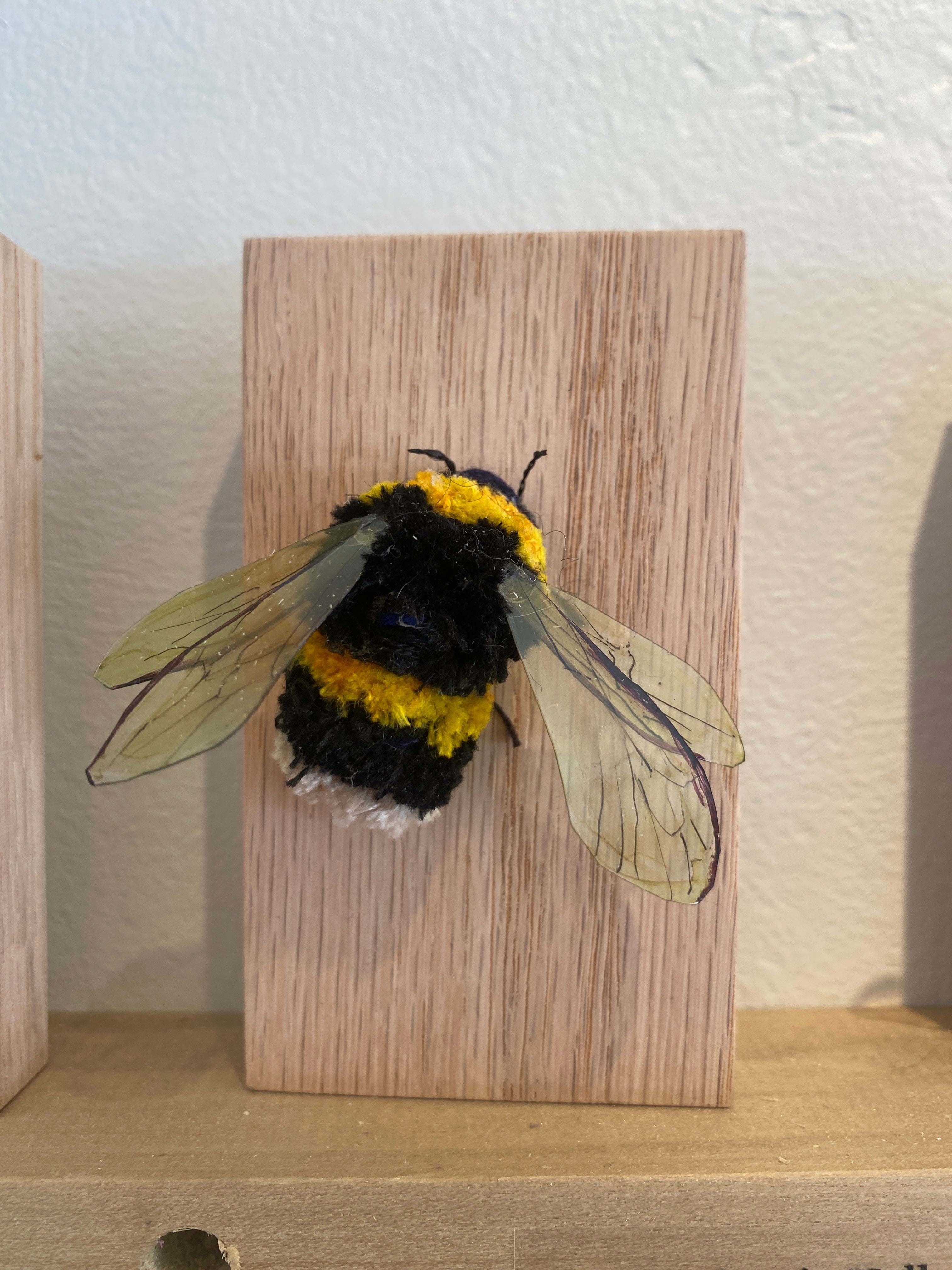 Artwork by Stephanie Kelly Clark