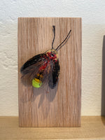 Load image into Gallery viewer, Artwork by Stephanie Kelly Clark
